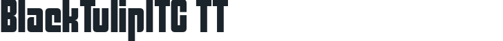 BlackTulipITC TT