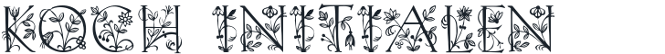 Koch Initialen