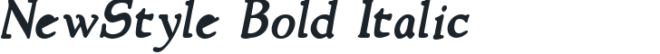 NewStyle Bold Italic