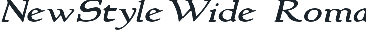 NewStyleWide RomanItalic