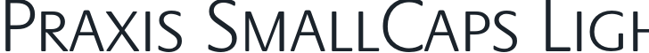 Praxis SmallCaps Light
